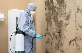 Mold Remediation for Vacation Homes in Macungie, PA